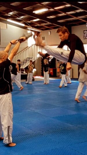 Carl Van Roon Instagram - Twin foot front snap kick. Fun? Yes. Great plyometric training? Yup. Practical? 😐 
See if you can spot my claw hand ✋🏼 🤦🏼‍♂️ #vanroonmartialarts #whitemancantjump #clawhandstrikesagain #theclaw #taekwondo #jumpkick #flyingkick #doublekick