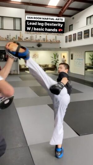Carl Van Roon Instagram - Young James BOXING X TKD #vanroonmartialarts #boxing #kickboxing #taekwondo #tkd #mma #karate