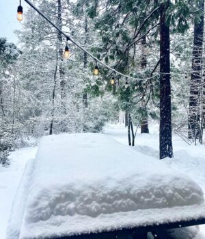 Carly Pope Instagram - Imagine this, but doubled. I wish we hadn’t dug ourselves out. Idyllwild you were magique.
*Sadie was thrilled, scroll for proof*