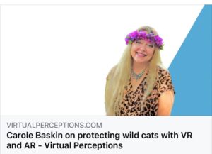 Carole Baskin Instagram - On asking her where the technology will go, Ms Baskin explored a frictionless future where people can easily access virtual worlds without harming others. “I want this technology to be so easily accessible to so many people that there is not any demand for seeing a wild cat in a cage or in person.” 

https://www.virtualperceptions.com/carole-baskin-on-protecting-wild-cats-with-vr-and-ar/

#BigCats #BigCatRescue #VirtualReality #Tiger #CaroleBaskin