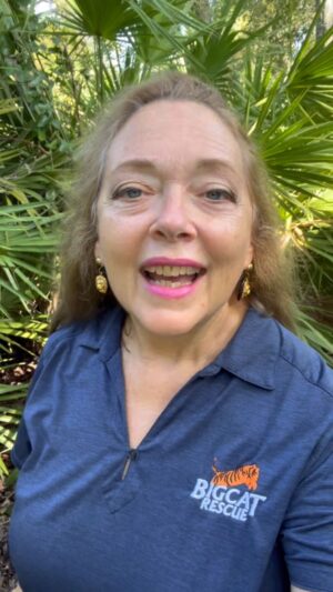 Carole Baskin Instagram - 𝐌𝐀𝐊𝐄 𝐓𝐇𝐄 𝐂𝐀𝐋𝐋 𝐎𝐅 𝐓𝐇𝐄 𝐖𝐈𝐋𝐃 𝐓𝐎𝐃𝐀𝐘! 
It is crucial that every US citizen make the Call of the Wild between now and Sunday! 
BigCatAct.com

#BigCatPublicSafetyAct #BigCatAct #BigCats #BigCatRescue #Rescue #Cats #Tiger #EndangeredSpecies #Wildlife #Wild #CaroleBaskin