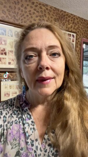 Carole Baskin Instagram - Go to BigCatAct.com to roar out for big cats. #BigCatRescue, #cat, #kitten, #cub, #liger, #tiger, #lion, #nature, #wild