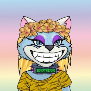 Carole Baskin Instagram - Check out the Lost Cats Founder’s Collection NFT in my honor!  They will start minting tonight at 9pm ET https://lostcatfc.com/
