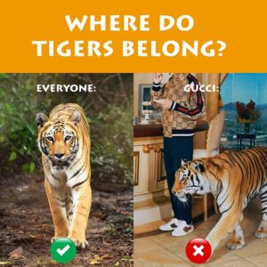 Carole Baskin Instagram - Enough is enough with commodifying tigers! Today, 50 NGOs call out the damaging #GucciTiger campaign, which glorifies & fuels the harmful exploitation of wild animals as ‘posh pets’. We call on @Gucci to acknowledge & rectify their wrong #AlessandroMichele #ChristopherSimmonds

“No animals were harmed in the making of this ad campaign” is not a valid excuse. Glorifying the commercial exploitation of endangered wild animals drives their extinction & is ALWAYS harmful.
Please share & tag @Gucci if you agree that #GucciTiger was a FAIL.

#BigCatRescue #Rescue #BigCats #Tiger #YearOfTheTiger