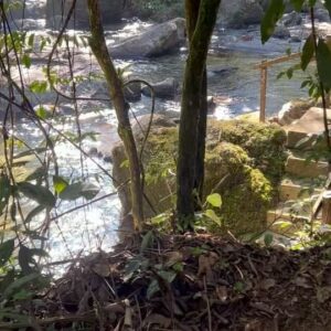 Carolina Chalita Instagram - Fé na vida … 🍀

#dump #maio #foto #naturephotography #paraíso #davida #fé