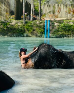 Caroline Wilde Instagram - Thailand photo diary final chapter 🌴 This 🐘 orphanage is so special ~ they have been rescuing elephants from working circuses & tourists attractions (elephant rides etc). Sadly because they were born in captivity they can’t adapt to living in the wild, so this amazing orphanage is taking care of them and giving them a better life. They each have a personal carer who stays with them 24/7! Please note that not all of these places are the same many who call themselves “elephant sanctuaries” also run the cruel tourist attraction’s so be careful when going to visit one 🤍
