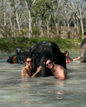 Caroline Wilde Instagram - Thailand photo diary final chapter 🌴 This 🐘 orphanage is so special ~ they have been rescuing elephants from working circuses & tourists attractions (elephant rides etc). Sadly because they were born in captivity they can’t adapt to living in the wild, so this amazing orphanage is taking care of them and giving them a better life. They each have a personal carer who stays with them 24/7! Please note that not all of these places are the same many who call themselves “elephant sanctuaries” also run the cruel tourist attraction’s so be careful when going to visit one 🤍