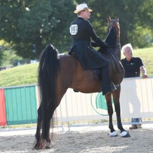 Carson Kressley Instagram - Nothing better than a summer night @lexjrleaguehorseshow on an American Saddlebred. Photo credit @howardschatzberg