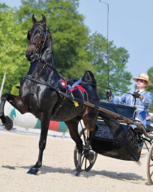 Carson Kressley Instagram - Growing up with horses, Carson Kressley has stuck with his passion for riding even after his career in the entertainment industry took off.

Carson and his horse Earl graced the cover of our March 2023 issue, and now that cover story is available online. Read more about Carson’s history and ongoing involvement with horses at the 🔗 in our bio 🐴

#horseillustrated #horsemagazine #carsonkressley
