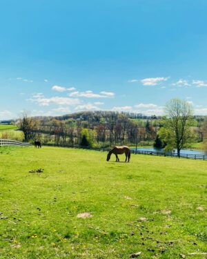 Carson Kressley Instagram - Happy Earth Day from the farm. And any chance you get, be kind to our planet.  It's the only one we've got.