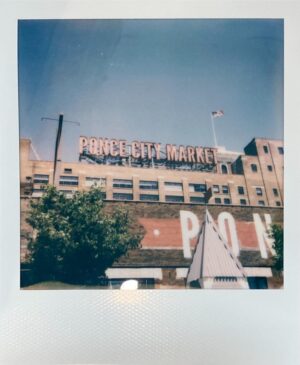 Carson Rowland Instagram - been on a Polaroid kick lately