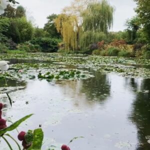 Carter Jenkins Instagram - Monet’s Garden is pure magic. It’s like walking into one of his paintings.