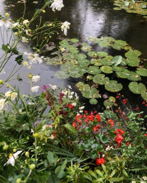 Carter Jenkins Instagram - Monet’s Garden is pure magic. It’s like walking into one of his paintings.