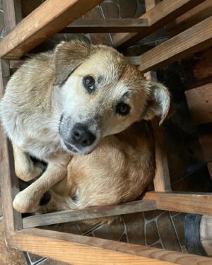 Cassandra Naud Instagram - Babies of San Jose Del Pacifico