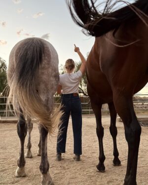 Cassi Thomson Instagram - Sometimes life deals you a left hook right to the f**kin jaw. Here’s to dusting myself off and gettin’ back to doin’ my damn thing. 

I turned 30 today — stepping into this new decade called for some massive changes, one being the relocation of my horses. We will now be working with the team of @winplacehome — an off the track thoroughbred organization who dedicates themselves to giving ottbs a second chance on life. I’m grateful to be here and am looking forward to growing along side these two creatures I reign guardian of. ✨🦁✨