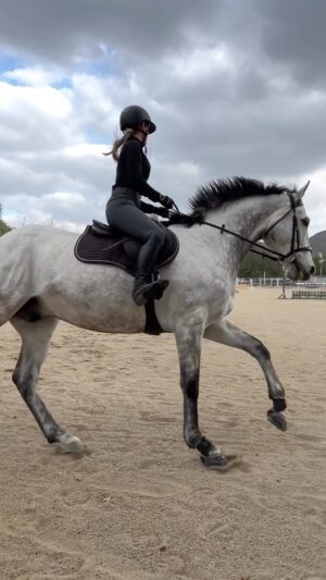 Cassi Thomson Instagram - We’re in for some rain in Southern California and y’all are in for one heck of a surprise… coming soon! 🤗

#remingtontheottb #barefoothorse #ottbsofinstagram #ottbofinstagram #ottb #equestrianlife #equestrianliving #equestrianstyle #equestrianjourney