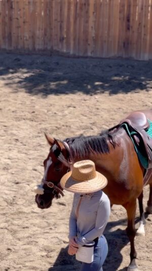 Cassi Thomson Instagram - A peek into what my sessions with Sequoia and @elisabethhowerofficial look like. 

We’ve introduced R  training temporarily to help Sequoia begin to enjoy working with humans. She’s an incredibly kind horse and seems to inherently enjoy being with people, but whenever work is introduced her stress levels rise very quickly and her mind entirely leaves the conversation. 

The idea is that R  will help reestablish her working relationship with humans and open the door to forming more positive experiences. Right now her negative experiences outweigh her positive ones and we want our work together to be consensual vs solely compliant. — this is something Elisabeth says to me all the time. 

We’re listening to her every step of the way and doing our dammdest to help her find confidence in herself and trust in us. What a beautiful lesson for me to bear witness to and be a part of. 🥹