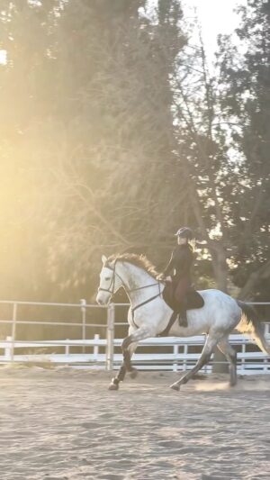 Cassi Thomson Instagram - The time has come. 😎 

Our custom saddle has arrived! A huge thank you to @stubben_ca @stubbenna for making it all happen. 

#remingtontheottb #ottbofinstagram #ottb #ottbsofinstagram #barefoothorse #equestrianlife #equestrianstyle #stübben