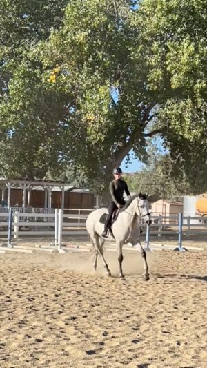 Cassi Thomson Instagram - “don’t let perfect be the enemy of the good” 

Our overall focus is getting Rem more connected to his hind end to achieve more supple movement. I know in order for him to get connected to his hind end I have to get connected to mine — for my non horsie people that means communicating with him through my seat and leg vs my hands — I’m doing my best here to ask him to relax and soften without going to my hand to make it happen. We are far from perfect and have so much to learn but isn’t that always the case? ;)