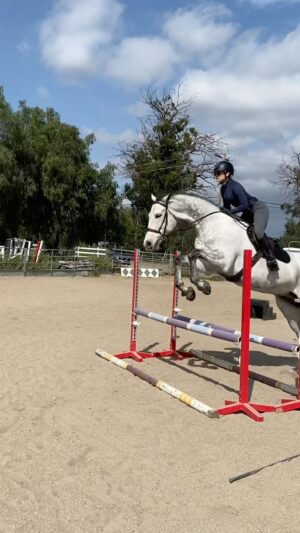 Cassi Thomson Instagram - An impromptu lil’ jump lesson today with @zlequestrian. Rem’s lead changes give me life, so very sure of himself this one. #remingtontheottb 

#ottbsofinstagram #ottb #barefoothorse #showjumping #ottbofinstagram #greyhorse #greyhorsesofinstagram #equestrianlife #equestrian #equestrianstyle