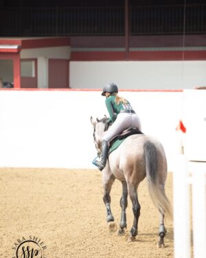 Cassi Thomson Instagram - September 6th 2019 — a damn fine day. It’s been 4 years with the big dawg by my side. This horse changed my life and I couldn’t be more grateful for his heart and enduring spirit. 👊🏼✨
