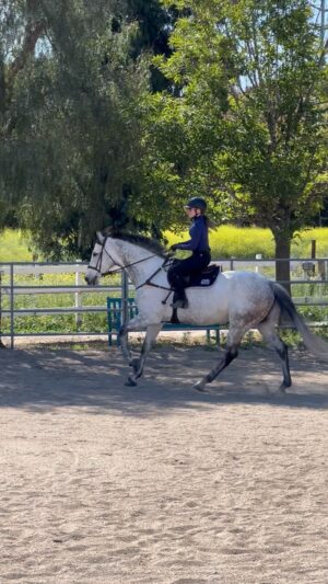 Cassi Thomson Instagram - For the nerds - here’s some unedited footage of us doing no stirrup work today. It was very interesting what came up in my body tracking right 👀 you’ll hear @zlequestrian coaching me through it. Supple strength is a whole damn thing. 🥵  #remingtontheottb