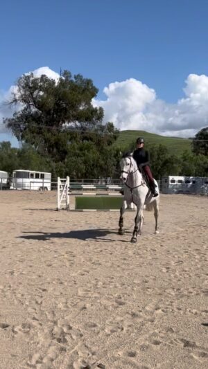 Cassi Thomson Instagram - Throwin’ it back. 
Riding other horses is always a privilege; each horse has many lessons to teach us and it’s up to us as the rider to adjust and learn how to ride THAT particular horse. This ain’t a one size fits all type of sport — It’s incredibly nuanced, intuitive, and really f**king challenging. Each new horse I ride I also gain a little more appreciation for the relationship I’ve built with Rem. A tremendous amount of patience, love, and persistence have gone into that boy. 
Here’s to all those equestrians out there that couldn’t take the easy path and had to create their own; it takes a hell of a lot of courage and belief in one’s self and in one’s horse. I’m proud to be an equestrian and feel very grateful to have this community to share my journey with. 🤙🏼🤍 #remingtontheottb