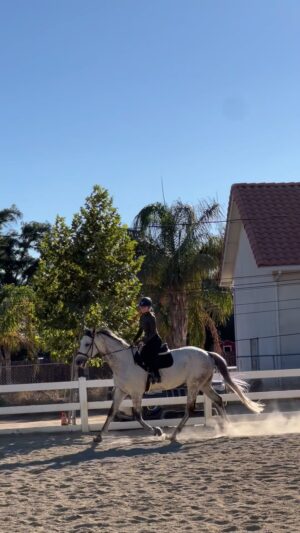 Cassi Thomson Instagram - Rem can be pretty sensitive for his first rides in a new environment - this was our first ride in the big arena and he was having a hard time relaxing and staying with me. Given where he was mentally we kept things very simple and worked on my mentality, my body control, and my breath when dealing with his stress levels being high. Here you can catch a moment when it all came together through the guidance of @elisabethhowerofficial. 🤌🏼