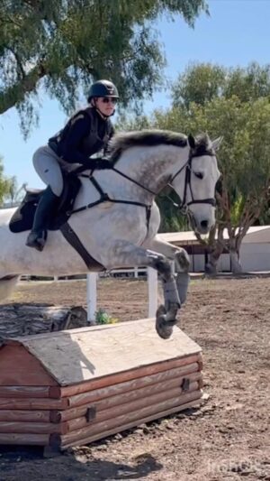 Cassi Thomson Instagram - dolphin boy hits the xc course #remingtontheottb