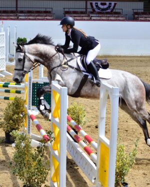 Cassi Thomson Instagram - September 6th 2019 — a damn fine day. It’s been 4 years with the big dawg by my side. This horse changed my life and I couldn’t be more grateful for his heart and enduring spirit. 👊🏼✨
