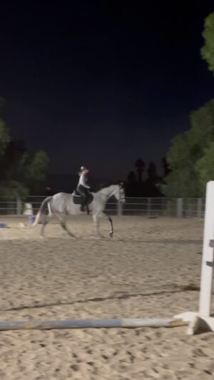 Cassi Thomson Instagram - More from under the lights a few weeks back. 🖤

Update: 
Rem went through a bit and bridle fitting clinic while I was traveling — he’s been going in a French link but through the clinic we realized it’s too much pressure for him. The bit he seemed to respond to best was a Herm Sprenger KK ultra eggbutt. We’re still waiting for that to come in, but we’re hoping it’ll help assist us in encouraging him to reach forward instead of bracing against and dropping behind. 

I am also getting a new bridle made for Rem because it was brought to my awareness in the clinic that his current bridle is too small for him. Poor buddy. 😔 My saddle is also out right now getting adjusted to fit my new leg position — hoping to have that back this week. 

I’m slowing addressing every aspect of his equipment and care and OY VEY. This has all been incredibly overwhelming, disheartening, embarrassing, and expensive — I truly do know that we’ll get through it and I’m sure I will have overwhelming gratitude for it all in the end but it certainly has not been easy. Lawd send me the strength. 🥵

.
.
.
.
#ottbofinstagram #greygelding #horselessons #horsetraining #equestrianrider #equestriansport #barefoothorse #ottblove #equinelifestyle #equinesofinstagram