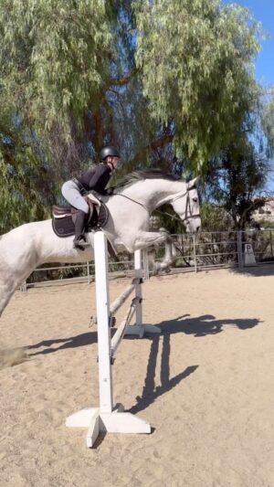 Cassi Thomson Instagram - The big dog is back in action 🖤💪🏼 — I am incredibly proud of this boy and so grateful for the team behind us. 

🎥: @mercedesnatalia