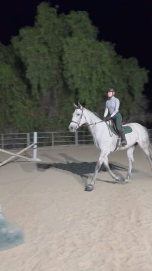 Cassi Thomson Instagram - Rem under the lights a few weeks back. 🤭 Sometimes ya get left behind — very thankful for this incredibly forgiving partner of mine and friends to laugh it off with @mercedesnatalia @elisabethhowerofficial 

.
.
.
.
#equestrianfail #ottbsofinstagram #ottbofinstagram #greygelding #greyhorse #equestrianlifestyle #equestrianrider #equestriansport #barefoothorse #barefootshowjumping