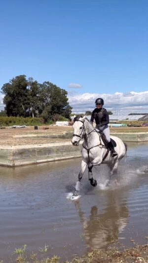 Cassi Thomson Instagram - The last time we were at this venue it took Rem almost 40 minutes to get into the water — this time around it took maybe 5 and looooooook 😭 feeling very proud and very grateful. #remingtontheottb 

#ottb #ottbsofinstagram #ottbofinstagram #ottbjumper #barefoothorse #equestrianlifestyle #equestrianblogger #equestriansport #equestriansports #greyhorse #greyhorsesofinstagram #greyhorses #horsegirl #horseriding #horselove