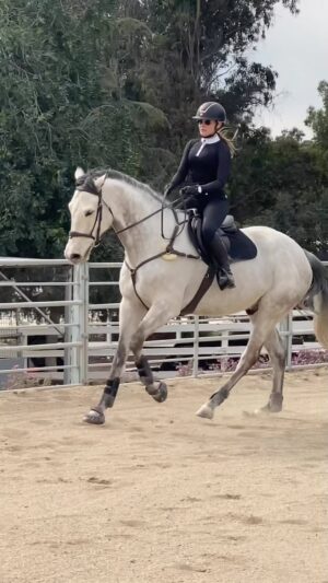 Cassi Thomson Instagram - It’s the big dog’s birthday! Rem turns 8 today 🥹 He sure has come a long way from his lanky 4 year old lil’ self. He’s taught me more than I could have ever imagined and I’m just so stoked to be his mama. 🤍 #remingtontheottb