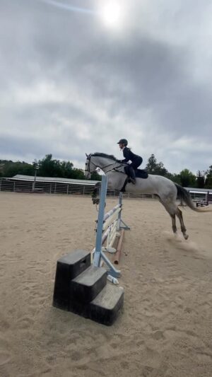Cassi Thomson Instagram - This horse. 🤍 We jumped bigger today and the height got to me. I made nearly every mistake in the book and put us in shitty situations. And ya know what? That’s okay. Failing is a crucial part of any sport, and I often learn the most when things go wrong. I got lucky today with a semi gnarly crash through a fence; we both made it out unscathed but holy hell isn’t that always eye opening? I’m feeling extra grateful for my partner and his pretty damn unshakable confidence in himself. Here’s to the big dog. 🍻  #remingtontheottb