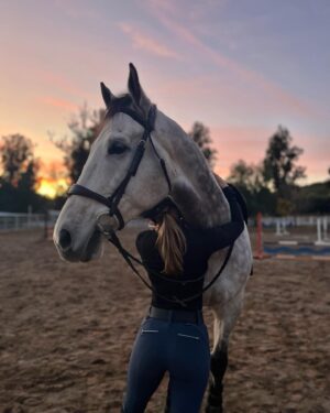 Cassi Thomson Instagram - My gratitude for this horse just keeps growing. My sweet, dynamic, hard chargin’ dude. 

I’m wearing @ghodho’s Aubrie Pro Meryl breech in Vintage. 💙🙏🏼 This might be my favorite color yet. If ya want sporty, comfy, flattering on the booty breeches—then GhoDho just might be for you ;) 

#remingtontheottb #ottb #ottbsofinstagram #ottbofinstagram #ghodho #barefoothorse #equestrianliving #equestrianbrand #equestrianlife #equestrianstyle #equestrianfashion #equestrianjourney
