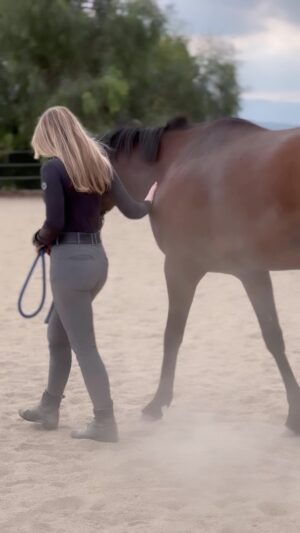 Cassi Thomson Instagram - just a couple of little mamas. 🤎 

I can’t tell you how cool it is to watch a young horse, with a whole lot stacked against her, beginning to open up and be curious. She’s got patient pleasured hands behind her — that’s for damn sure. 😉
@elisabethhowerofficial @winplacehome 
.
.
. 

#younghorse #marepower #baymare #ottbsofinstagram #ottbofinstagram #ottblove #younghorsetraining #rplus #equestrianlifestyle #equestrianworld #younghorsedevelopment