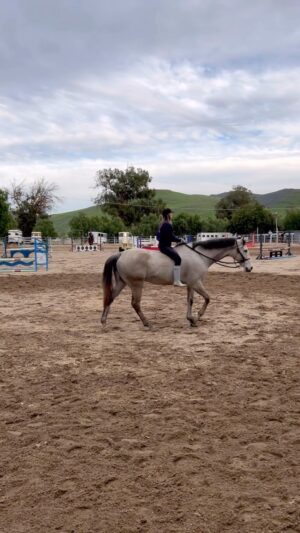 Cassi Thomson Instagram - proly ill advised but it all worked out ;) #remingtontheottb