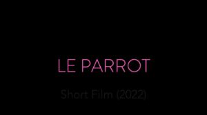 Catherine Curtin Instagram - Le Parrot!!! Truly one of the funniest, poignant, aberrant  family pilots ever! Loved this script and loved this shoot!  Amazingly talented and wonderful people. Way too fabulous! In competition at #triibecafilmfestival #tribecafilm #pilot #hulu #amazonstudios #netflixseries
