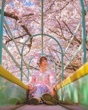 Cathy Cat Instagram - 10 pictures: Which one looks most ridiculously excited and why? 🛝 slide left to see the slide pics 😉 🛝 Which ones the most ridiculous? Which one looks the most excited?

Photo @masatoosan_portrait 
Dress @devilinspiredofficial 

#sakurajapan #japansakura #sakura2023 #sakura #japan_sakura #japan_photo #japan_photo_now #japan_photo_share #japan_photo_view #japantravel #cherryblossom #cherryblossomjapan #cherryblossom2023 #桜 #桜スポット #桜すべり台 #sakuraslide #桜ポートレート #桜ピンク #ファンシー　#ピンクファッション #devilinspired