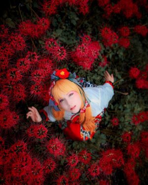 Cathy Cat Instagram - 1-5 which pic is best? Why does this flower scare some people?

The Higanbana flower is a stunning and unique flower that blooms during autumn, around the period of the equinox. 

🕷️ It is also known as the Red Spider Lily or Red Magic Lily. Some even call it Hell Flower or Corpse Lilly. Why?

🇯🇵 In Japan, this flower is often linked to death and the afterlife.
However, in Buddhism this flows is also believed to guide the souls of the dead to reincarnation.

🕷️ Despite its ominous reputation, Higanbana flowers are still admired for their beauty and delicate shape. 

For the Ask Japanese livestream we went to the place in Japan with the most higanbana flowers in all of Japan and got some stunning photos.

Does this flower exist in your country and which pic do you like best?

Photos by @masatoosan_portrait 
Dress by @metamorphosetempsdefille 
🌺🕷️🌺🕷️🌺🕷️

#japanphoto #japan_daytime_view #japan_of_insta #japanflower #flowersofjapan #higan #higanbana #japan_photo #japan_photo_now #askjapanese #metamorphosetempsdefille #mtdf #walolita #和服　#和服女子 #和服美人 #ロリータ #ロリータファッション