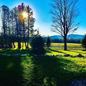 Cathy Gauthier Instagram - #Austin je t’aime.
#Estrie. Pas grand chose de plus relaxant qu’une marche dans le bois en attendant #OD 😉