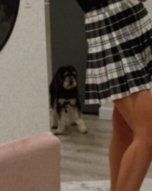 Cathy Marks Instagram - “When mom is getting ready to go out and leave me solo.” 🐕 💔
 ~a tragedy in three acts~ 😭