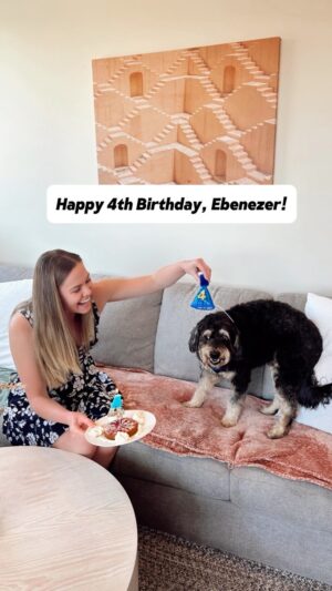 Cathy Marks Instagram - the years are going by way too fast. 😭 happy 4th birthday to the biggest pain in my a$$ and also the greatest joy of my life. 😆 I love you, bud. ♥️ #YouAndMeForever #minibernedoodle #bernedoodle #dogbirthday