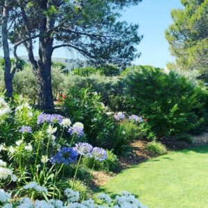 Cathy Yan Instagram - Scenes from Provence