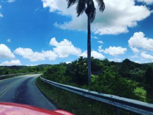 Cengiz Bozkurt Instagram - Küba fotoları #cuba #vinyalles #pınardelrio #westerncuba #malecon #bedado #havana