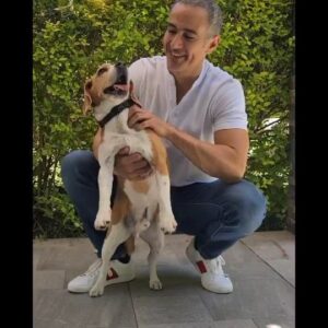 César Caillet Instagram - Hola a todos!!
Los invito a escuchar la nueva canción de navidad que creó @ripleychile junto al grupo Miranda. @mirandaenvivo
Participa de este challenge navideño, haz tu reel usando la canción "nueva navidad" de Miranda etiquetando a @ripleychile y podrás ganar uno de los 3 discos de Miranda “SOUVENIR” autografiado por ellos. 
Mención especial para el seco de @benjamarchantpalomera que me ayudó a aprender la coreografía.  Gracias x tu enorme paciencia y generosidad ❤🙌.
Cuando vi la coreo por primera vez pensé .... jamás podré hacer eso !! Jajajaj.  Después de mucho transpirar, reírme de mi mismo y de conectarme con el espíritu navideño logré aprenderla. Les dejo un abrazo grande. 😉