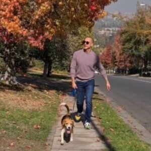 César Caillet Instagram - Paseo otoñal 🐶❤️. 
Cuántas veces sacas a pasear a tu perro al día? Te leo 😉. 
Yo idealmente 3 veces. 
Definitivamente cada estación tiene su encanto. Lo mejor del otoño? Sus colores.
Abrazo grande para tod@s ❤️.
