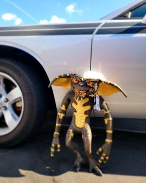 Chad Lindberg Instagram - Just bought this fella to add to my collection, although it appears someone already fed him after midnight. #Stripe #Gremlins